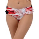 Happy 4th Of July Frill Bikini Bottom View1