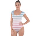 Horizontal pinstripes in soft colors Short Sleeve Leotard  View1