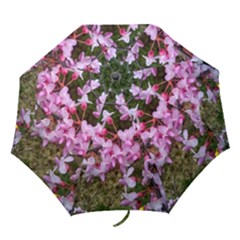 Redbud In April Folding Umbrellas by Riverwoman