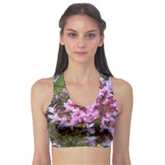 Redbud In April Sports Bra by Riverwoman