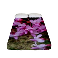 Redbud In April Fitted Sheet (full/ Double Size) by Riverwoman