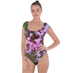 Redbud In April Short Sleeve Leotard  by Riverwoman