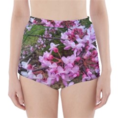 Redbud In April High-waisted Bikini Bottoms by Riverwoman