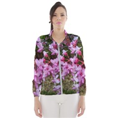 Redbud In April Women s Windbreaker by Riverwoman