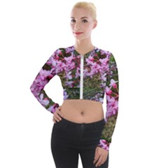 Redbud In April Long Sleeve Cropped Velvet Jacket