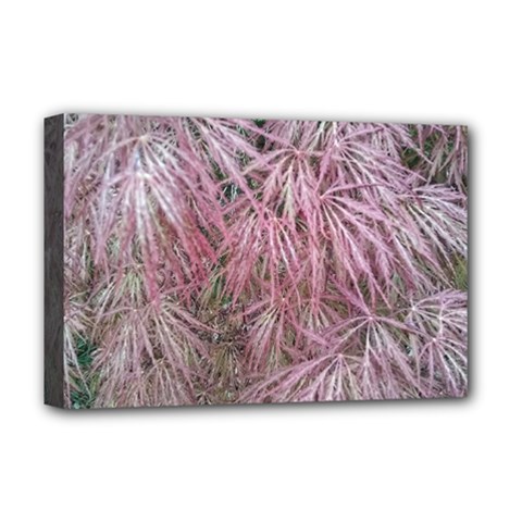 Fineleaf Japanese Maple In April Deluxe Canvas 18  X 12  (stretched) by Riverwoman