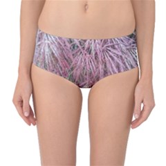 Fineleaf Japanese Maple In April Mid-waist Bikini Bottoms by Riverwoman