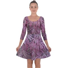 Fineleaf Japanese Maple In April Quarter Sleeve Skater Dress by Riverwoman