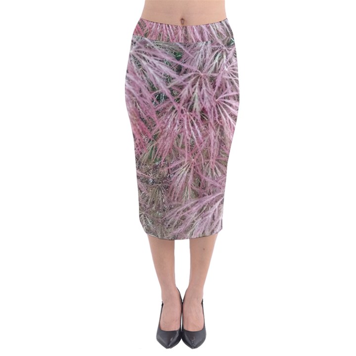 Fineleaf Japanese Maple in April Midi Pencil Skirt