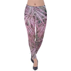 Fineleaf Japanese Maple In April Velvet Leggings by Riverwoman