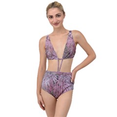 Fineleaf Japanese Maple In April Tied Up Two Piece Swimsuit by Riverwoman