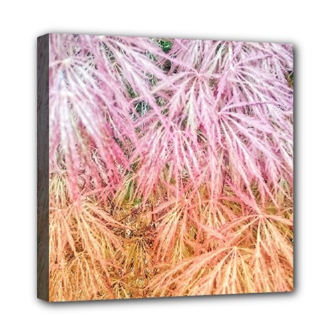 Fineleaf Japanese Maple Highlights Mini Canvas 8  X 8  (stretched) by Riverwoman