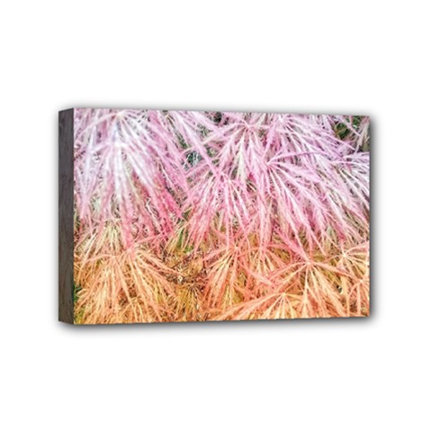 Fineleaf Japanese Maple Highlights Mini Canvas 6  X 4  (stretched) by Riverwoman