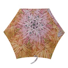 Fineleaf Japanese Maple Highlights Mini Folding Umbrellas by Riverwoman