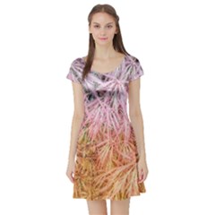 Fineleaf Japanese Maple Highlights Short Sleeve Skater Dress by Riverwoman