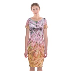 Fineleaf Japanese Maple Highlights Classic Short Sleeve Midi Dress by Riverwoman