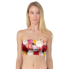 Roses Color Beautiful Flowers Bandeau Top