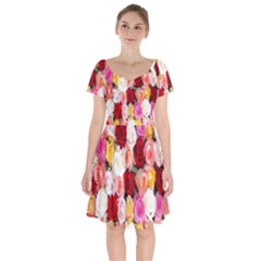 Roses Color Beautiful Flowers Short Sleeve Bardot Dress