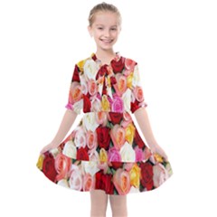 Roses Color Beautiful Flowers Kids  All Frills Chiffon Dress