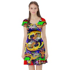 Rainbow Dragon Squad Print Short Sleeve Skater Dress by AuroraMountainFashion