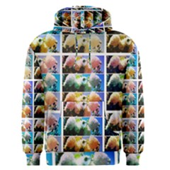 Twenty-seven Snowball Branch Collage Men s Pullover Hoodie by okhismakingart