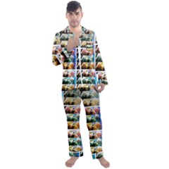 Twenty-seven Snowball Branch Collage Men s Satin Pajamas Long Pants Set by okhismakingart