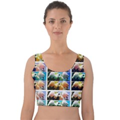 Twenty-seven Snowball Branch Collage Velvet Crop Top by okhismakingart