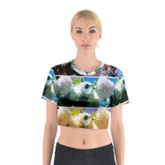 Snowball Branch Collage (i) Cotton Crop Top by okhismakingart