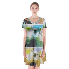 Faded Snowball Branch Collage (ii) Short Sleeve V-neck Flare Dress by okhismakingart