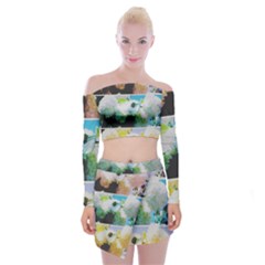 Faded Snowball Branch Collage (ii) Off Shoulder Top With Mini Skirt Set by okhismakingart