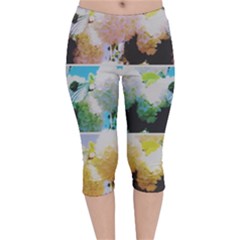 Faded Snowball Branch Collage (ii) Velvet Capri Leggings  by okhismakingart