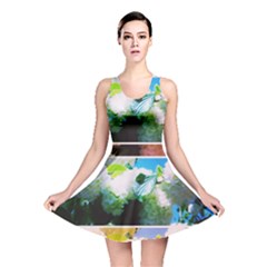 Bright Snowball Branch Collage (iii) Reversible Skater Dress by okhismakingart