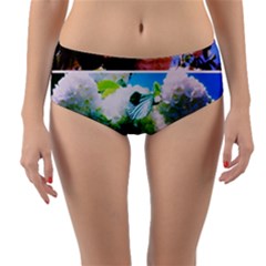 Bright Snowball Branch Collage (iii) Reversible Mid-waist Bikini Bottoms by okhismakingart