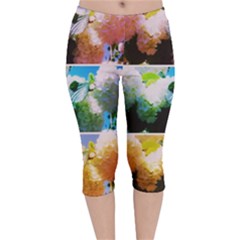 Bright Snowball Branch Collage (iii) Velvet Capri Leggings  by okhismakingart