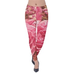 Roses Noble Roses Romantic Pink Velvet Leggings by Pakrebo