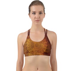 Orange Warm Hues Fractal Chaos Back Web Sports Bra by Pakrebo