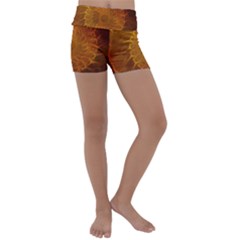 Orange Warm Hues Fractal Chaos Kids  Lightweight Velour Yoga Shorts by Pakrebo