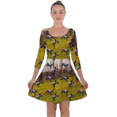 Flying Sheep Quarter Sleeve Skater Dress