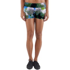 Blue Snowball Branch Yoga Shorts by okhismakingart