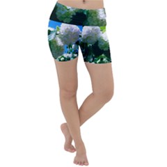 Blue Snowball Branch Lightweight Velour Yoga Shorts by okhismakingart