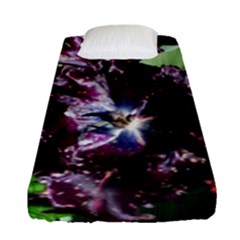 Galaxy Tulip Fitted Sheet (single Size) by okhismakingart