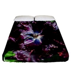 Galaxy Tulip Fitted Sheet (queen Size) by okhismakingart