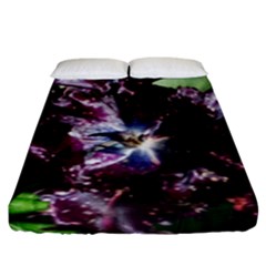 Galaxy Tulip Fitted Sheet (king Size) by okhismakingart