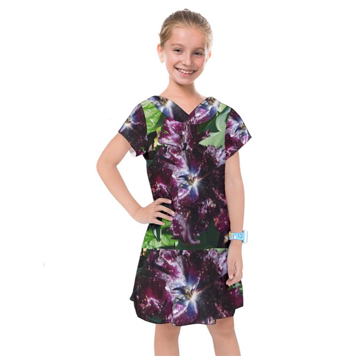 Galaxy Tulip Kids  Drop Waist Dress