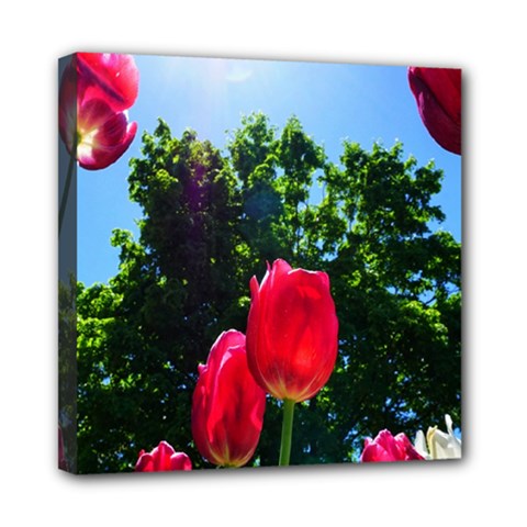 Skyward Tulips Mini Canvas 8  X 8  (stretched) by okhismakingart