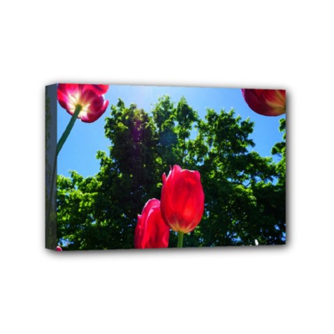 Skyward Tulips Mini Canvas 6  X 4  (stretched) by okhismakingart