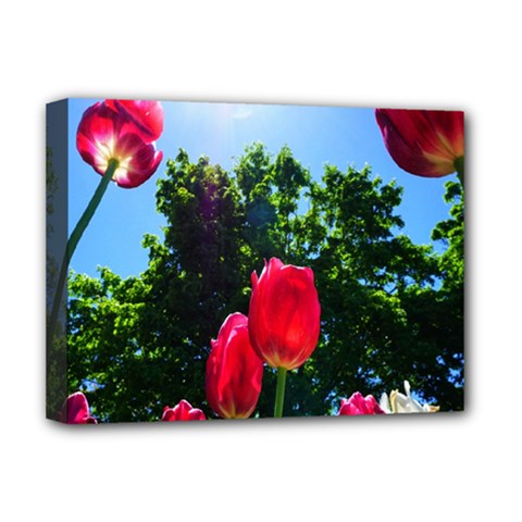 Skyward Tulips Deluxe Canvas 16  X 12  (stretched)  by okhismakingart