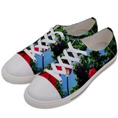 Skyward Tulips Women s Low Top Canvas Sneakers by okhismakingart