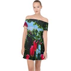 Skyward Tulips Off Shoulder Chiffon Dress by okhismakingart