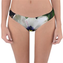 Blue Centered Tulip Reversible Hipster Bikini Bottoms by okhismakingart